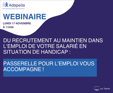 Webinaire SEEPH – Passerelle pour l’emploi vous accompagne : recruter, intégrer et maintenir en emploi une personne en situation de handicap