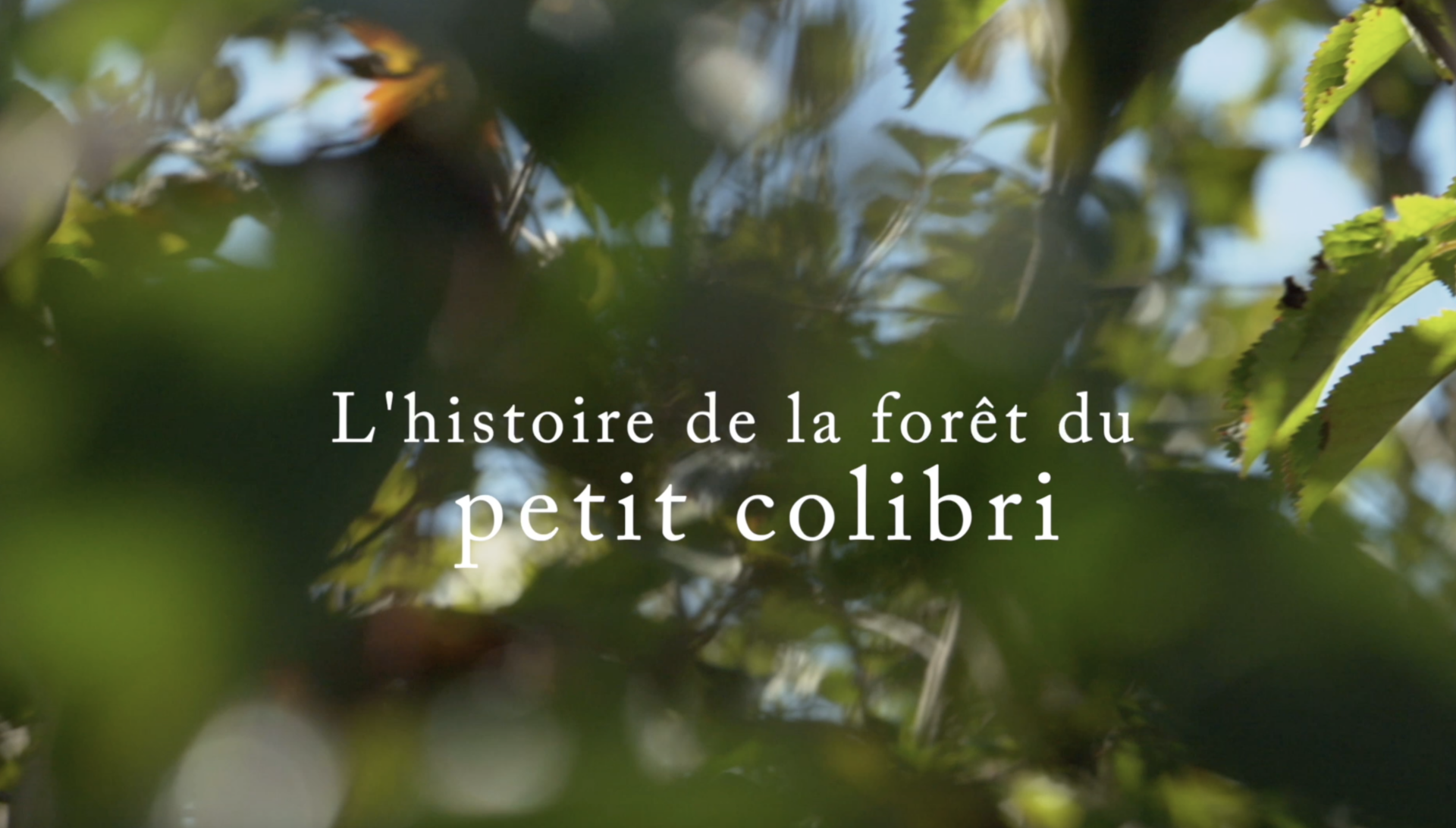 Vidéo de « La Forêt du Petit Colibri », découvrez l’histoire de ce projet participatif