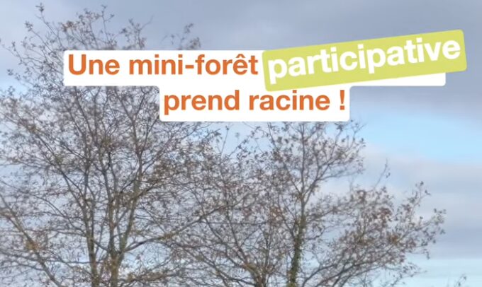 Une mini-forêt participative : mini par la taille, grande par l’engagement