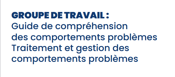 Guides sur la gestion des comportements problématiques