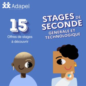 stage seconde