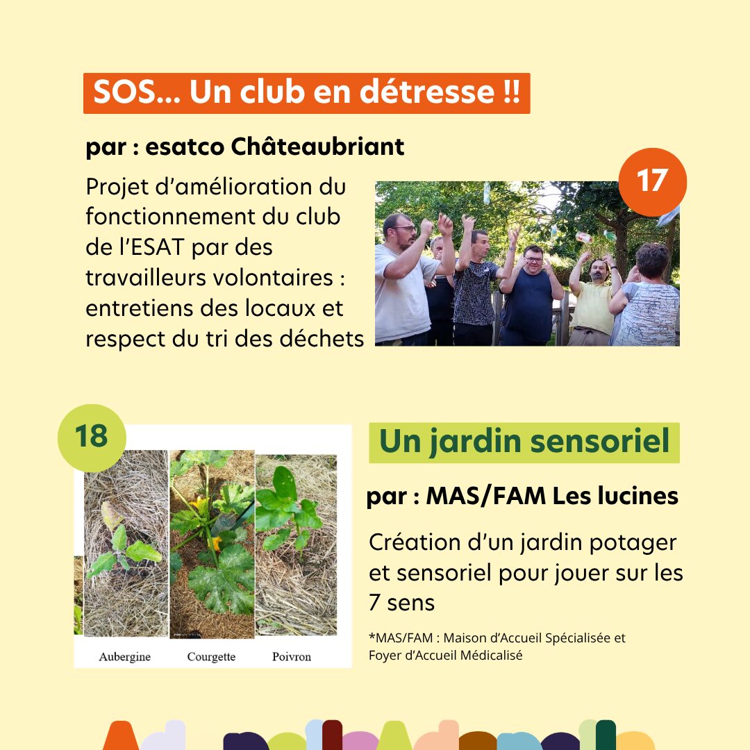 visuel Trophee RSE site Adapeila projet 18
