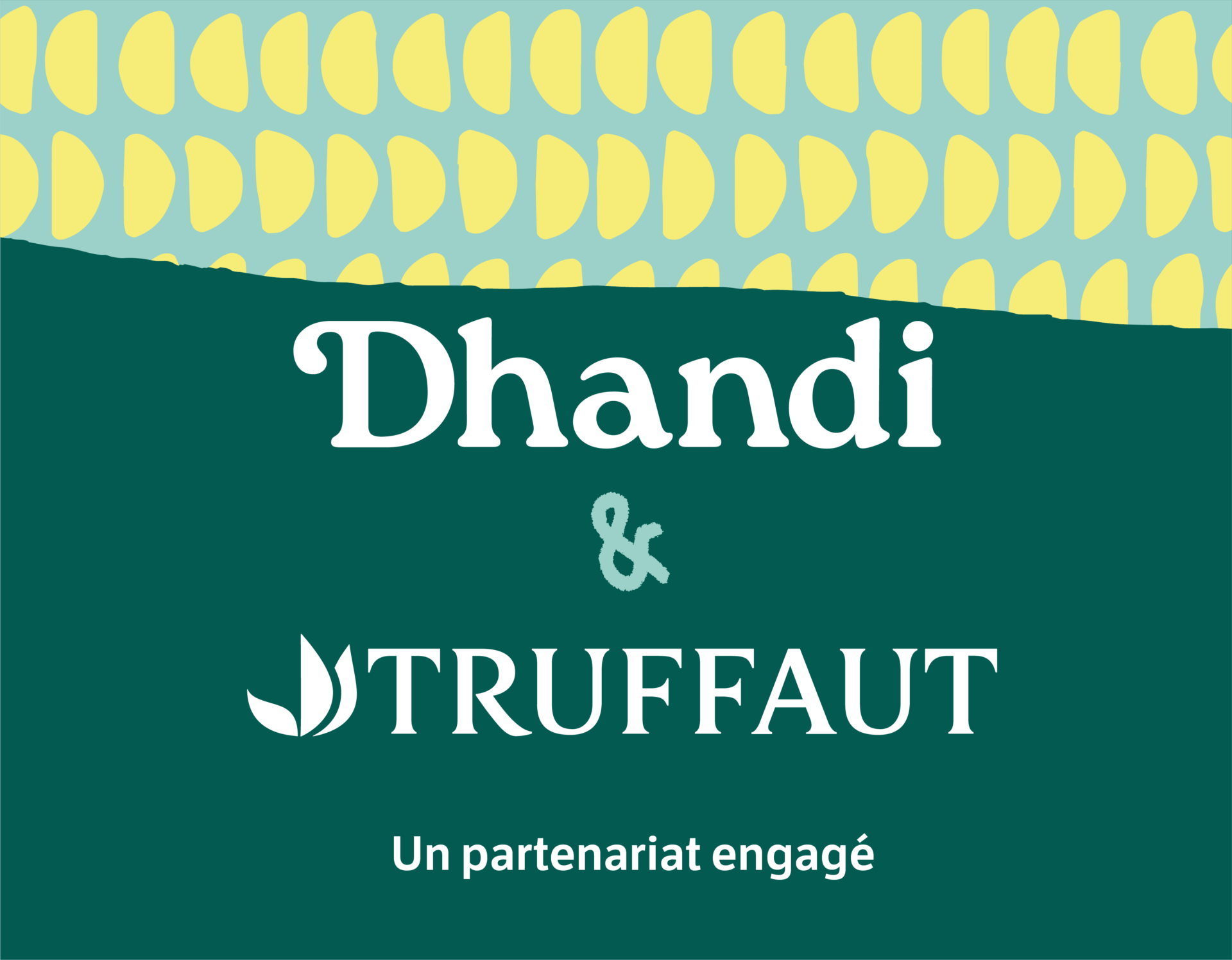 Dhandi x Truffaut : un partenariat engagé et solidaire !