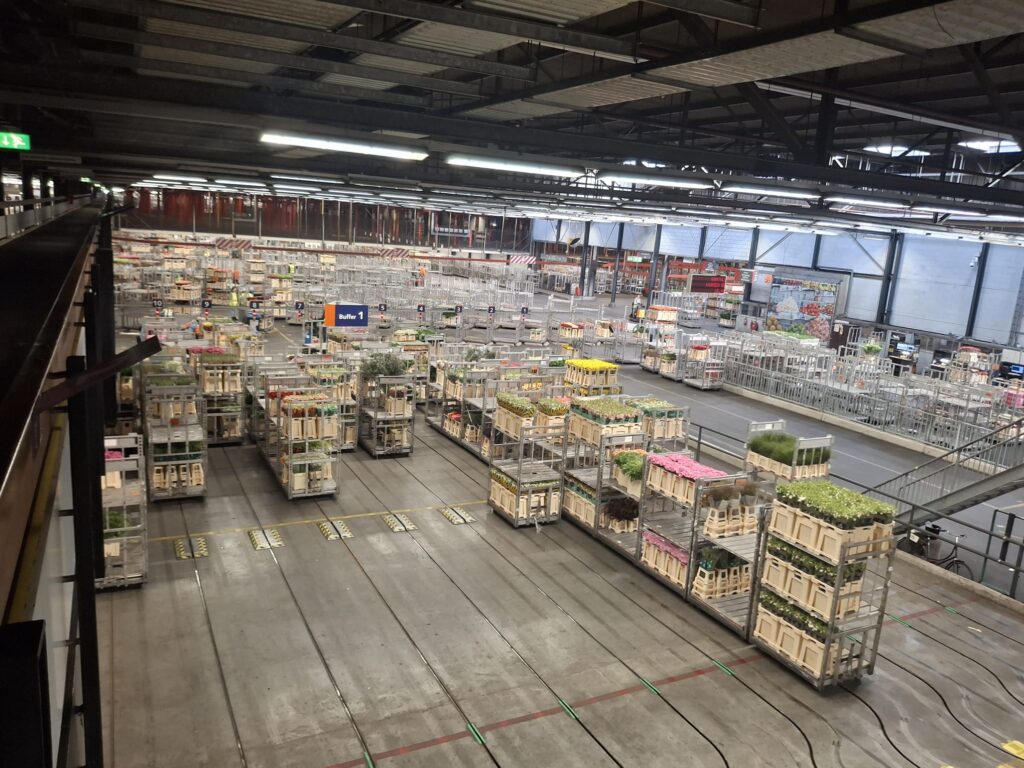 voyage erasmus plus esatco orvault pays bas horitculture hollandaise