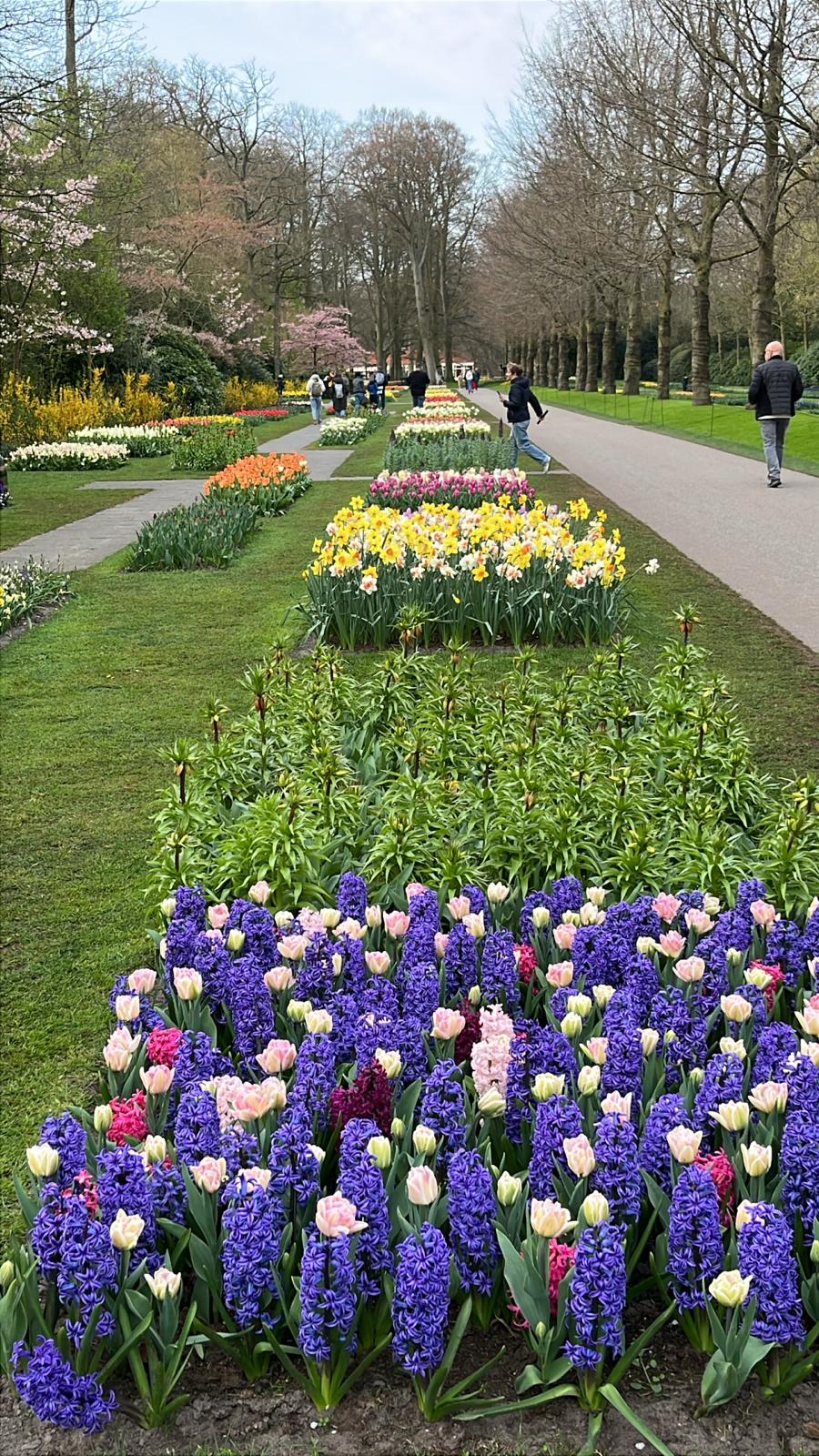 voyage erasmus plus esatco orvault pays bas hortus bulborum
